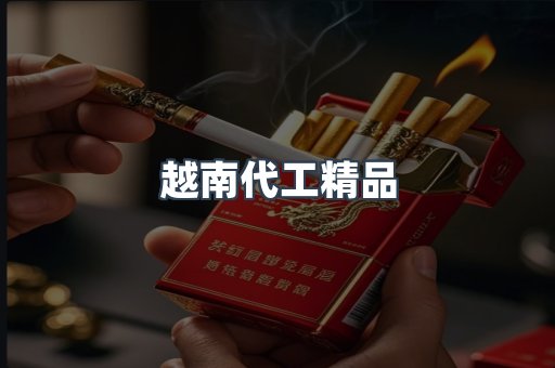越南代工精品